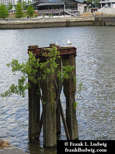 Hamburg - An der Elbe